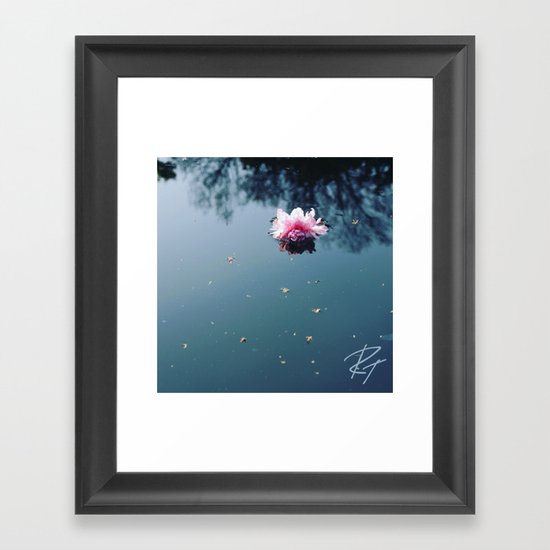 Lone Blossom Framed Art Print