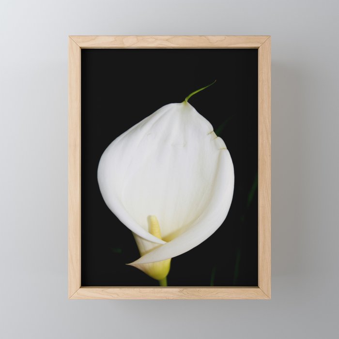 Framed Mini Art Print