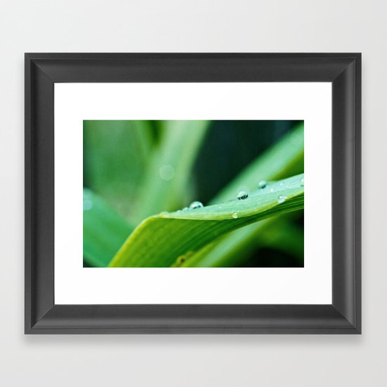 after the rain Framed Art Print