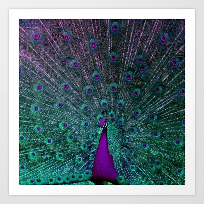 BLOOMING PEACOCK Kunstdrucke BLOOMING PEACOCK Kunstdrucke