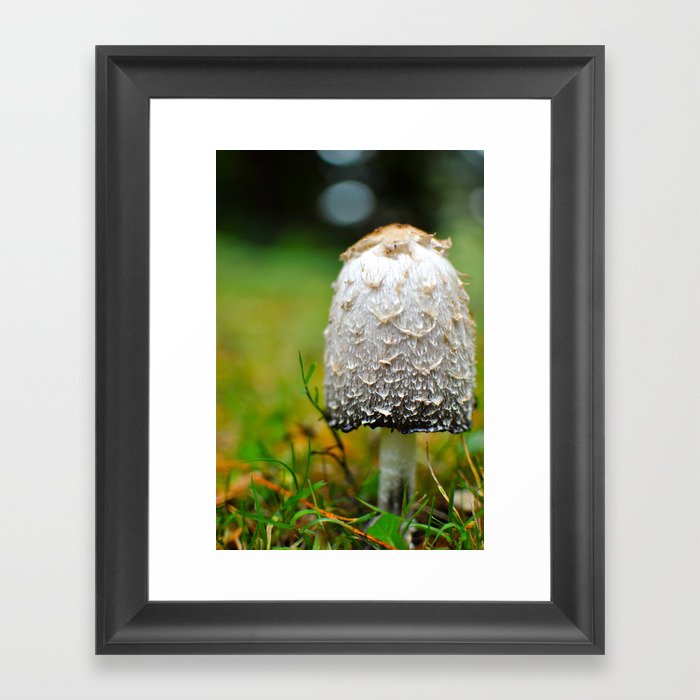 Fluffy mushroom Framed Art Print