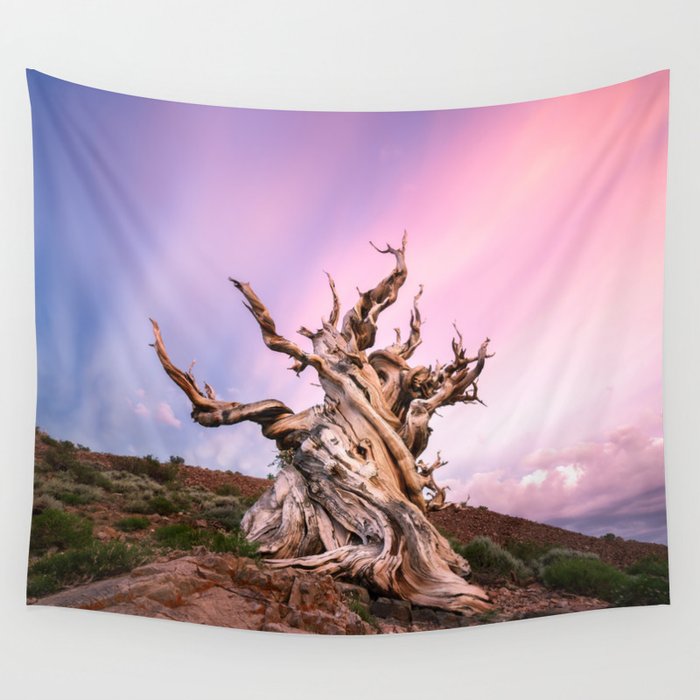 Pine discount tree tapestry