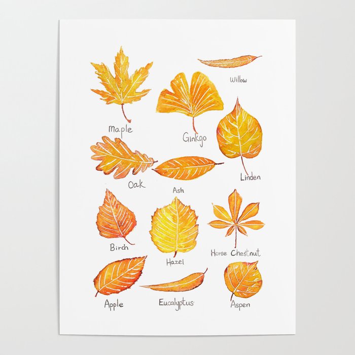 yellow leaves collection Poster