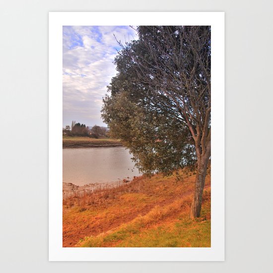 Park life Art Print