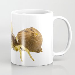 goldenrod crab spider species Misumena vatia Coffee Mug