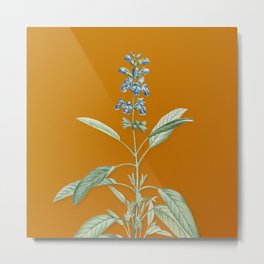 Vintage Sage Plant Botanical Illustration on Bright Orange Metal Print
