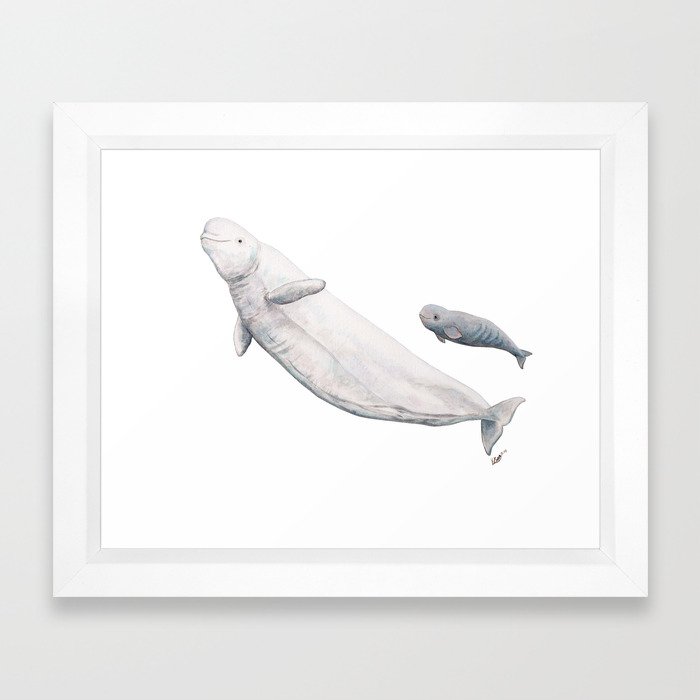 beluga whale drawing