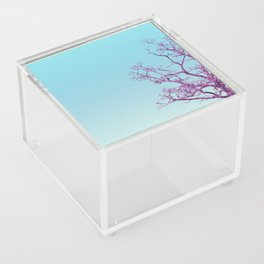 tree Acrylic Box