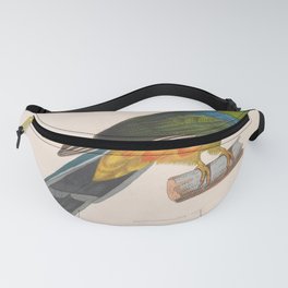 Vintage Print - New Collection of Colored Bird Plates (1838) - Javan Trogon Fanny Pack