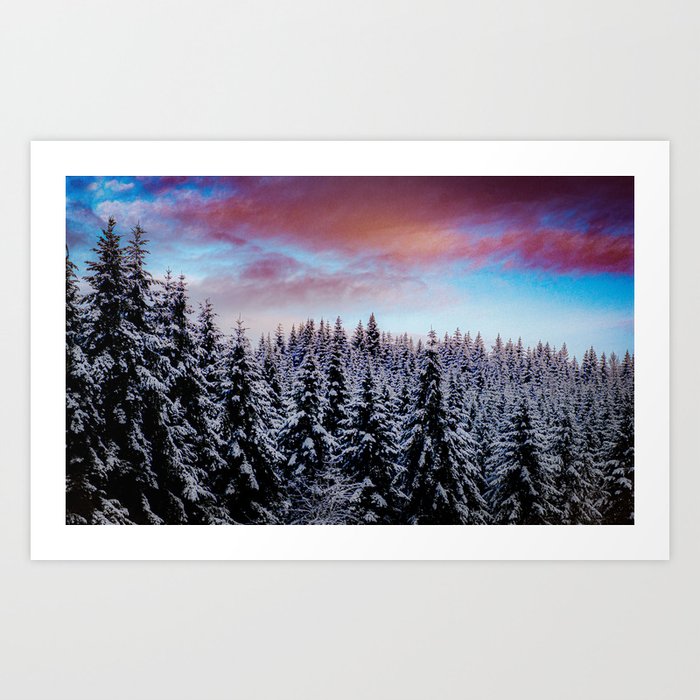 Winter Wonderland in the Pacific Northwest Art Print