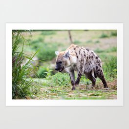 hyena Art Print | Nature, Animal, Photo 