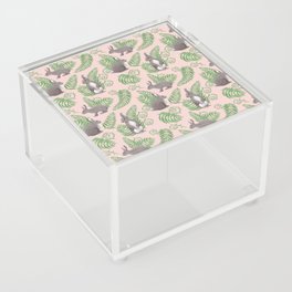 Rabbits and Ferns - Pink Acrylic Box