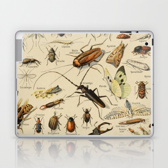 Insectes 1 by Adolphe Millot Laptop & iPad Skin
