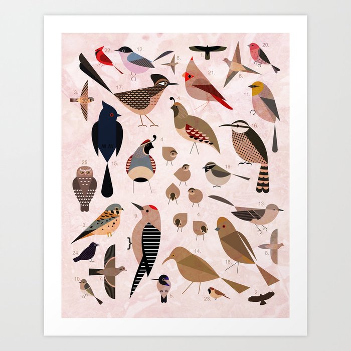 Birds of the Sonoran Desert Art Print