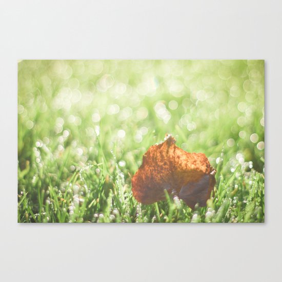 Morning Dew Canvas Print