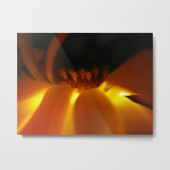 Uplit Stamen 19 Metal Print