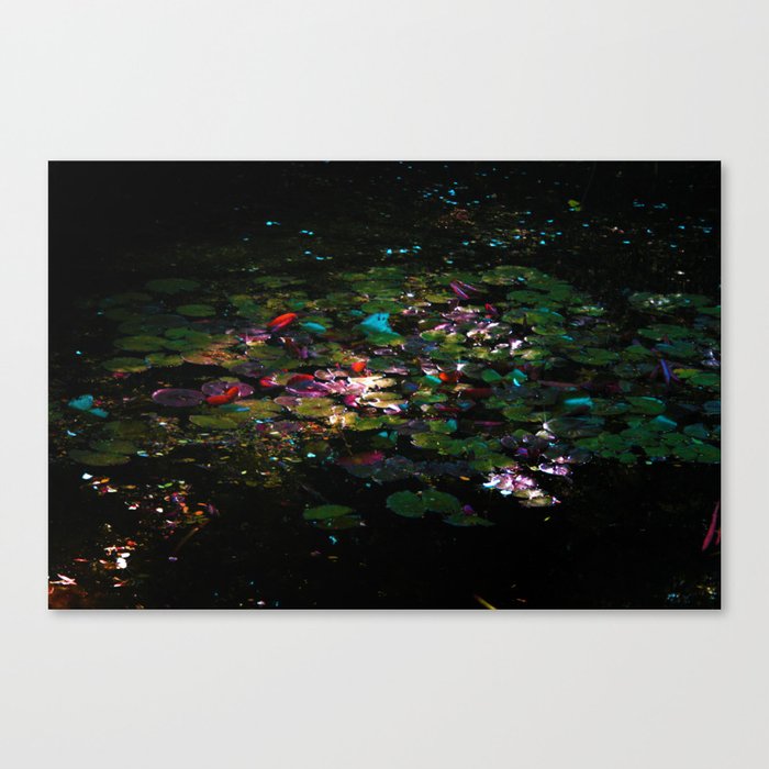 'The Pond' by TDL Canvas Print