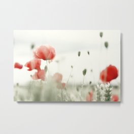 Poppies Metal Print | Blumen, Rotermohn, Flower, Naturblume, Flowers, Blume, Natureflowers, Poppy, Redpoppy, Mohnblumen 