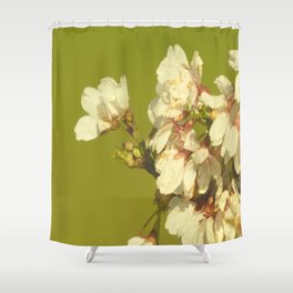 Scottish Highlands Weeping Cherry Blossom with colourful Background Shower Curtain