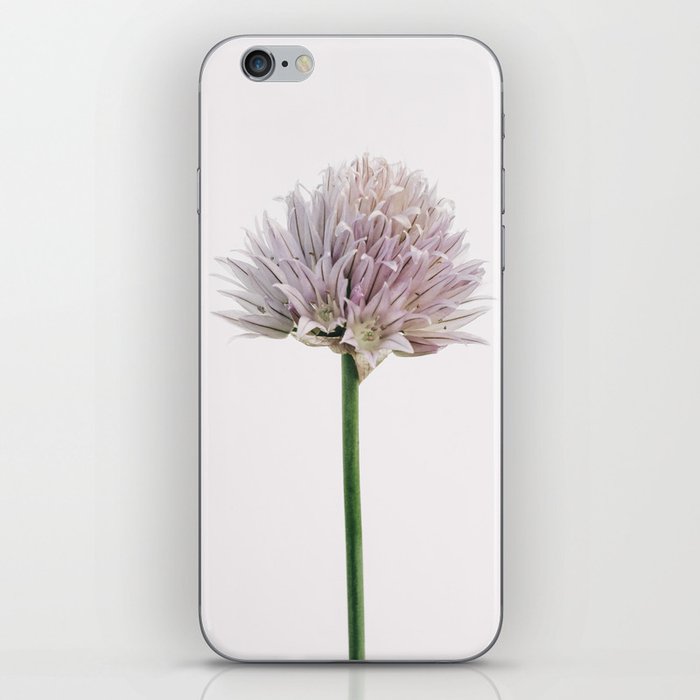Flowering chives on a white background - minimalist wall art for home decor iPhone Skin