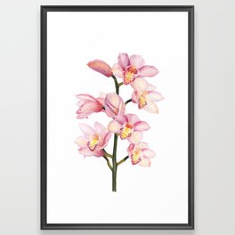 The Orchid, A Realistic Botanical Watercolor Painting Framed Art Print