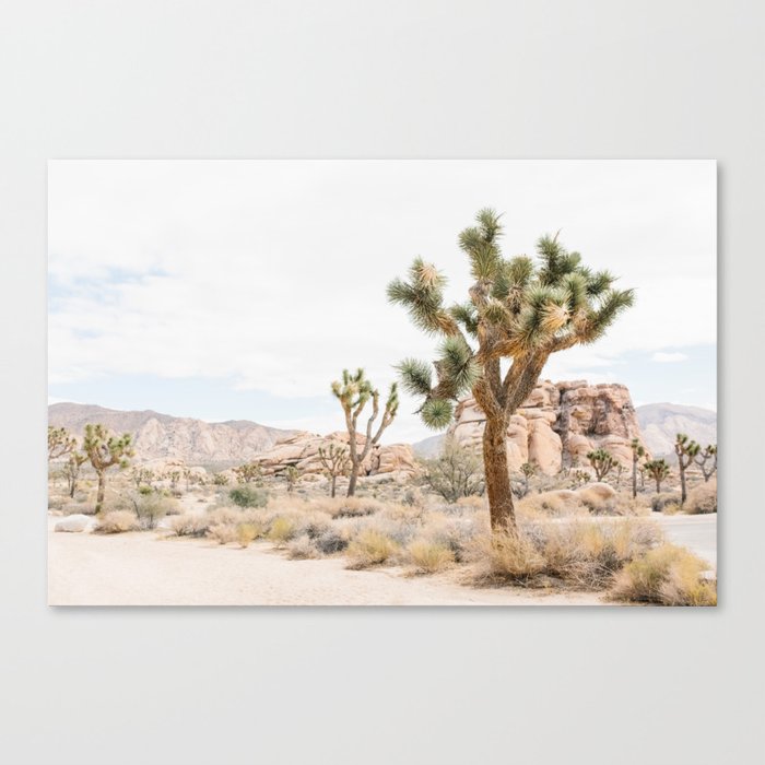 Joshua Tree Boho Cactus Desert Wall Art Landscape Photography Print Canvas Print By Itspaulina Society6