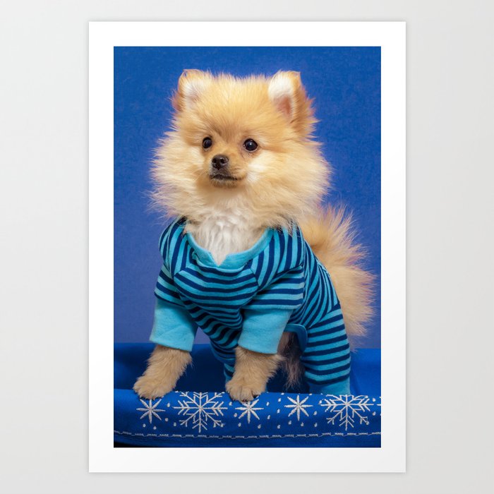 Pomeranian pajamas sales for adults