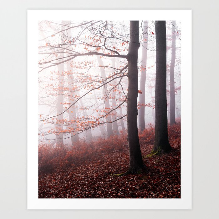 Stay With Me // Red Autumn Fog Forest Home Art Print