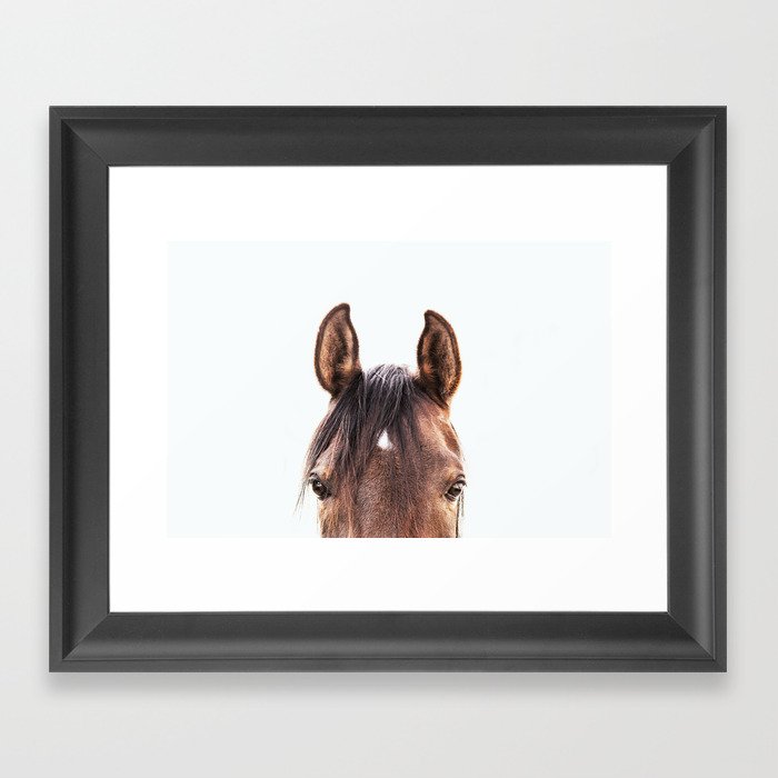 peekaboo horse, bw horse print, horse photo, equestrian, equestrian photo, equestrian decor Framed Art Print