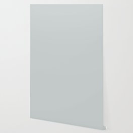 Ultra Pale Gray Grey Solid Color Pairs PPG Ghost Whisperer PPG1039-1 - All One Single Shade Colour Wallpaper
