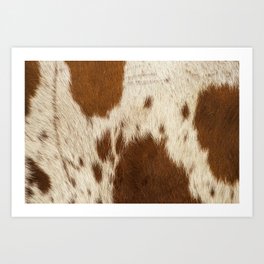 Pattern of a Longhorn bull cowhide. Art Print