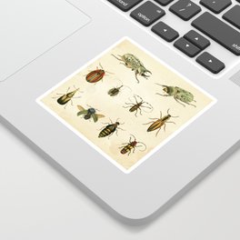 Beetles Sticker
