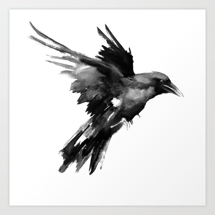 black raven flying
