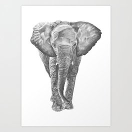 Graphite Pencil Art Prints For Any Decor Style Society6