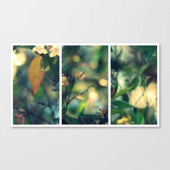 Daydream Believer - Triptych Canvas Print