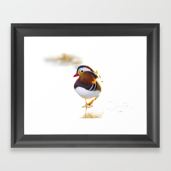 Mandarin Duck Framed Art Print