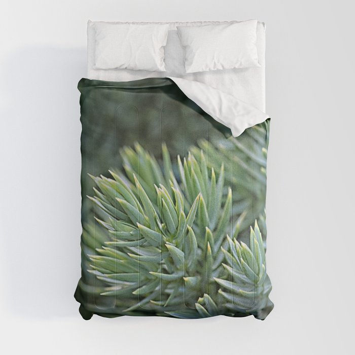 Green christmas tree Comforter