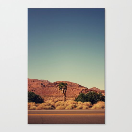 Joshua Tree. Canvas Print