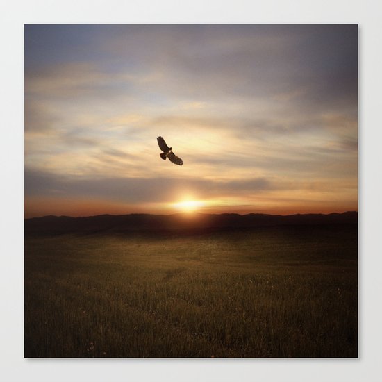Freedom Canvas Print