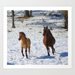 Horse play Art Print | Nature, Photo, Animal 
