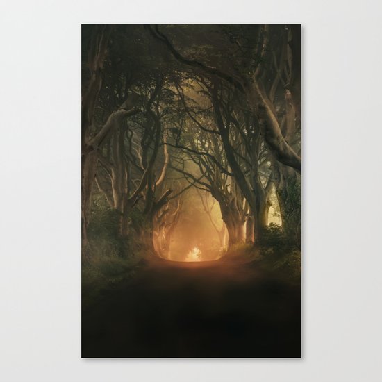 When the day begins... Canvas Print