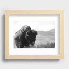 Black and White Bison Recessed Framed Print
