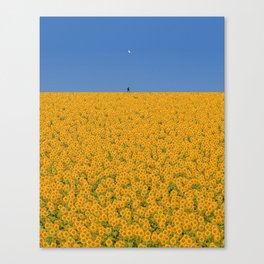 Sunshine Canvas Print