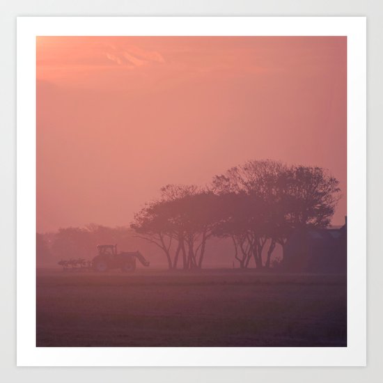 Morning activity #9 Art Print