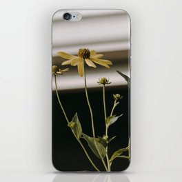 Vintage Flowers iPhone Skin