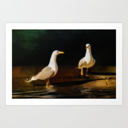 You Lookin' At Me?! Art Print | Digital, Water, Feathers, Reflections, Wings, Gulls, Animal, Painting, Birds, Digitalpainting 