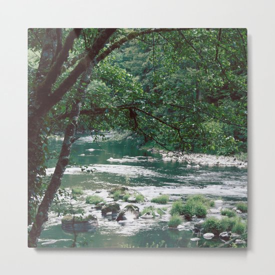 Morning Meditation Metal Print