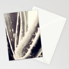 Succulents Blades Stationery Card