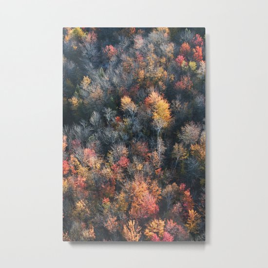 Leaves Metal Print
