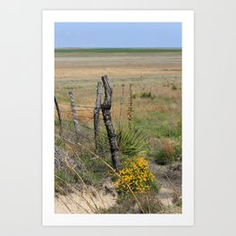Wooden Fence Corner Post with Yellow wild flowers Art Print | Flowers, Photo, Wildflowers, Wire, Bright, Yellow, Digital, Green, Color, Yuccas 